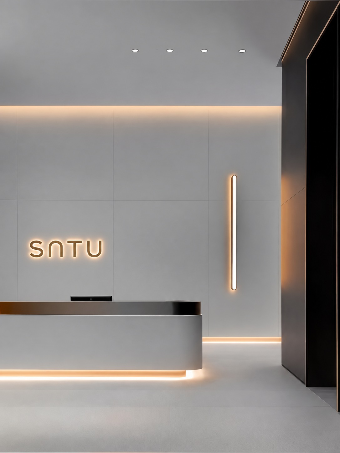 SATU illuminated reception brand image
